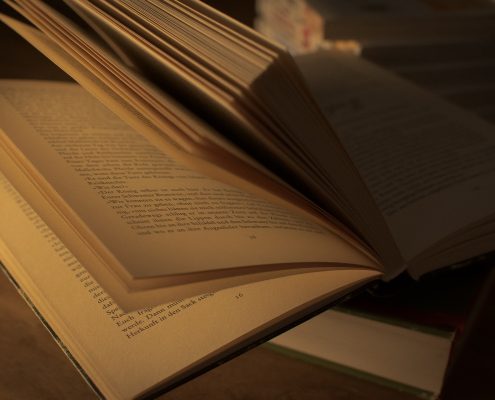 LAS PENAS PRIVATIVAS DE DERECHOS.